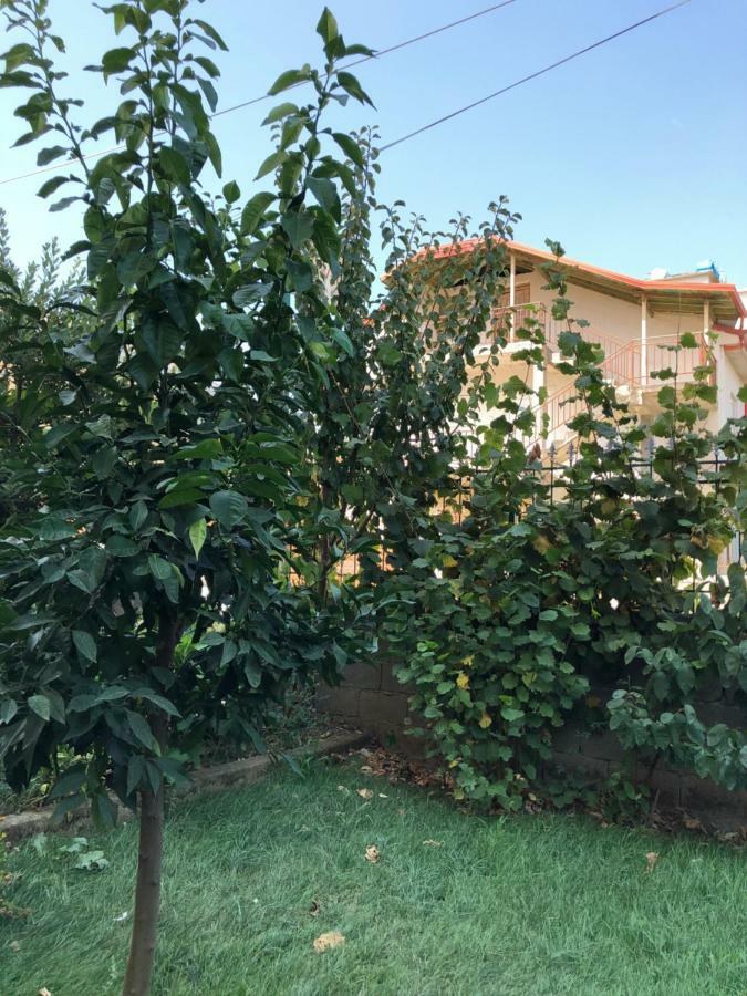 Përmet Hotel Villa Ago מראה חיצוני תמונה
