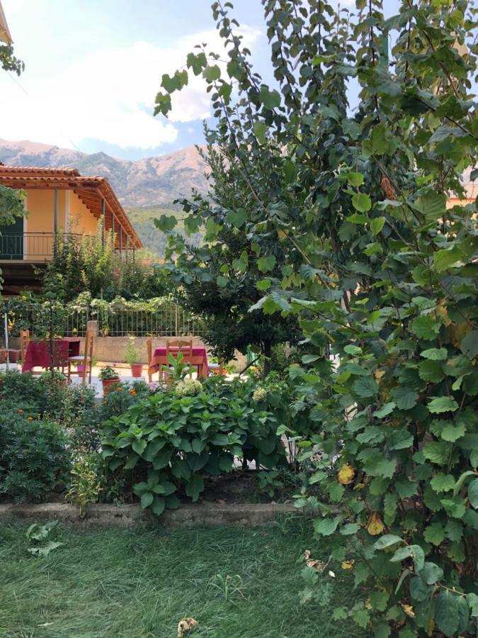 Përmet Hotel Villa Ago מראה חיצוני תמונה