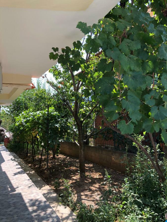 Përmet Hotel Villa Ago מראה חיצוני תמונה